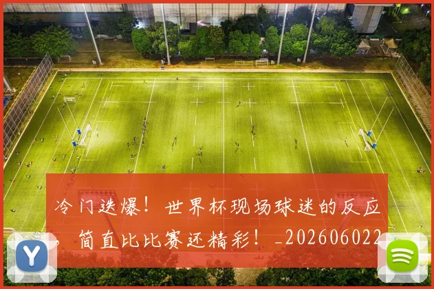 冷门迭爆！世界杯现场球迷的反应，简直比比赛还精彩！_20260602212500_20260704173206