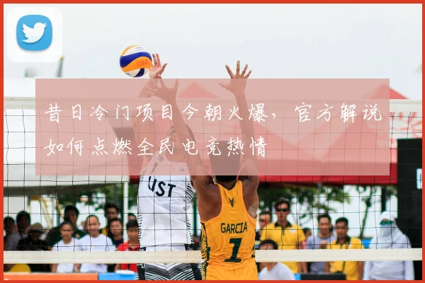 昔日冷门项目今朝火爆,官方解说如何点燃全民电竞热情